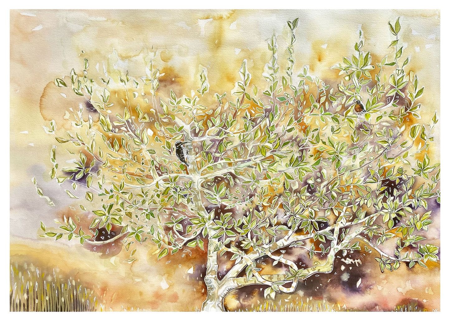 Fall Magnolia Greeting Card