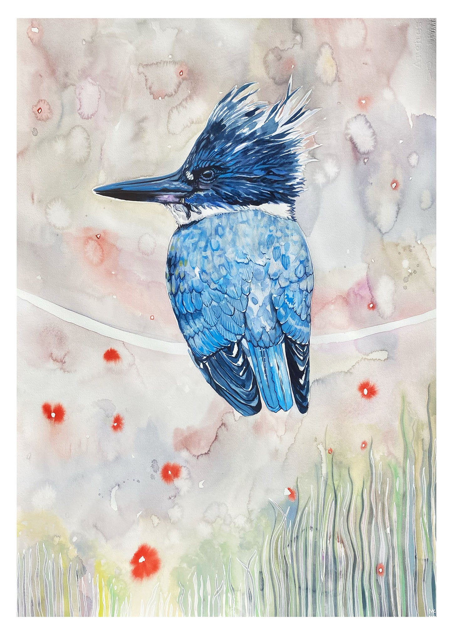 Kingfisher Greeting Card